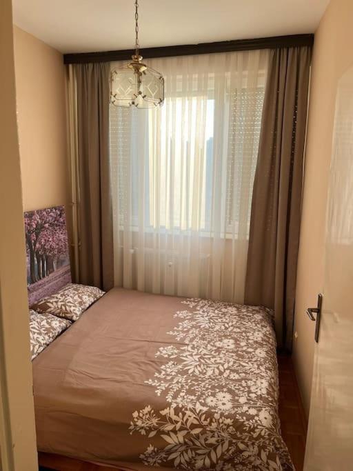 Shesh Hostel Prishtinë Ngoại thất bức ảnh